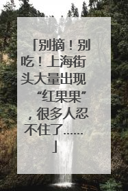 别摘！别吃！上海街头大量出现“红果果”，很多人忍不住了……