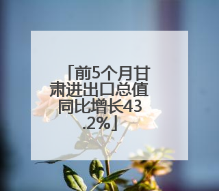 前5个月甘肃进出口总值同比增长43.2%