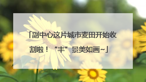 副中心这片城市麦田开始收割啦！“丰”景美如画~