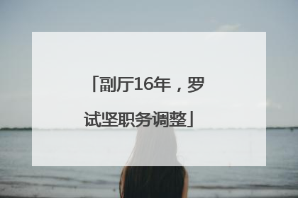 副厅16年，罗试坚职务调整