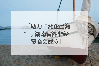 助力“湘企出海”，湖南省湘非经贸商会成立