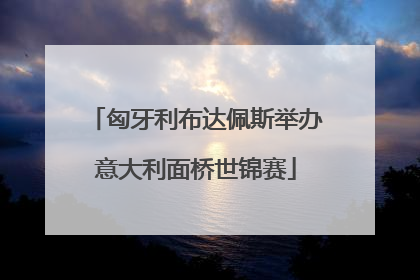 匈牙利布达佩斯举办意大利面桥世锦赛