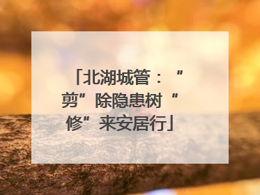 北湖城管：“剪”除隐患树“修”来安居行
