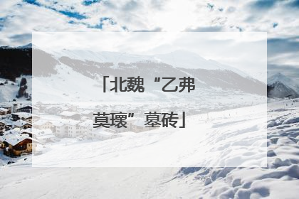 北魏“乙弗莫瓌”墓砖