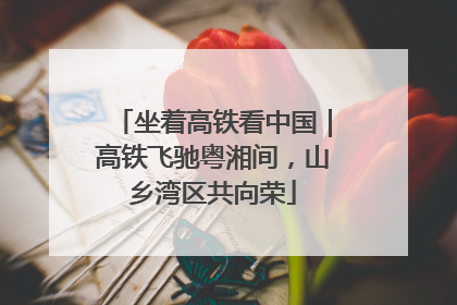 坐着高铁看中国｜高铁飞驰粤湘间，山乡湾区共向荣