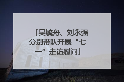 吴毓舟、刘永强分别带队开展“七一”走访慰问