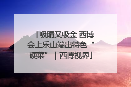 吸睛又吸金 西博会上乐山端出特色“硬菜”｜西博视界