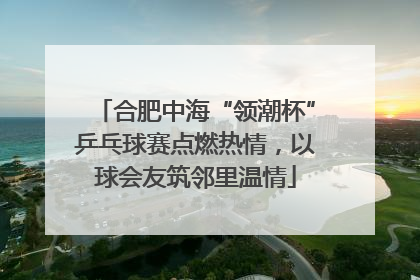 合肥中海“领潮杯”乒乓球赛点燃热情，以球会友筑邻里温情