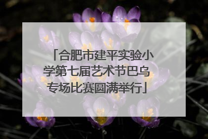 合肥市建平实验小学第七届艺术节巴乌专场比赛圆满举行