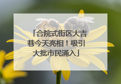 合院式街区大吉巷今天亮相！吸引大批市民涌入