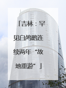 吉林：罕见白鸬鹚连续两年“故地重游”