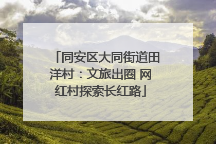 同安区大同街道田洋村：文旅出圈 网红村探索长红路