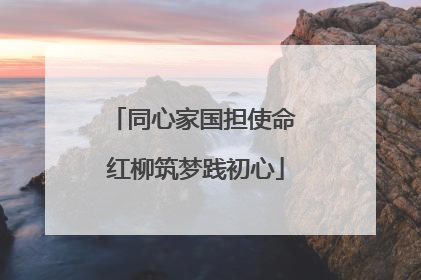 同心家国担使命 红柳筑梦践初心