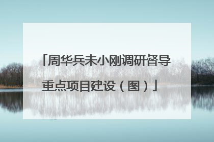 周华兵未小刚调研督导重点项目建设（图）