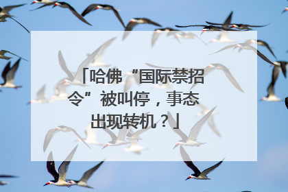 哈佛“国际禁招令”被叫停，事态出现转机？