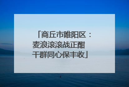 商丘市睢阳区：麦浪滚滚战正酣 干群同心保丰收