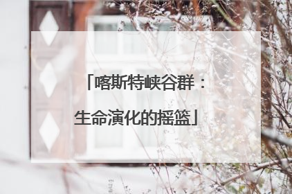 喀斯特峡谷群：生命演化的摇篮