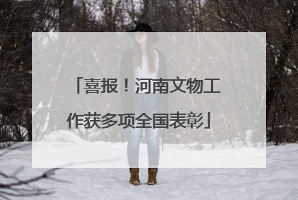 喜报！河南文物工作获多项全国表彰