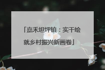 嘉禾坦坪镇：实干绘就乡村振兴新画卷