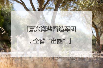 嘉兴海盐智造军团，全省“出圈”