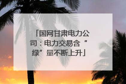 国网甘肃电力公司：电力交易含“绿”量不断上升