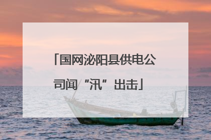 国网泌阳县供电公司闻“汛”出击