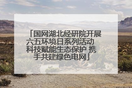 国网湖北经研院开展六五环境日系列活动 科技赋能生态保护 携手共建绿色电网
