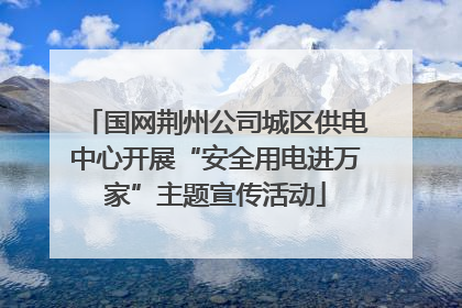 国网荆州公司城区供电中心开展“安全用电进万家”主题宣传活动