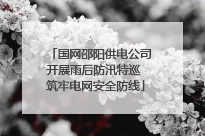 国网邵阳供电公司开展雨后防汛特巡 筑牢电网安全防线