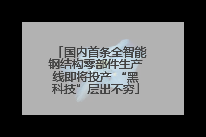 国内首条全智能钢结构零部件生产线即将投产 “黑科技”层出不穷