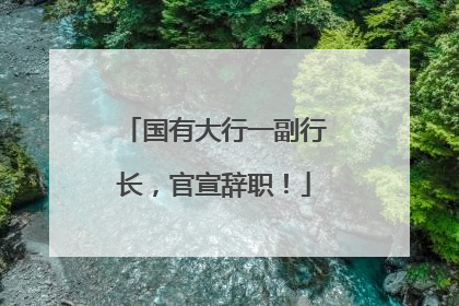 国有大行一副行长，官宣辞职！