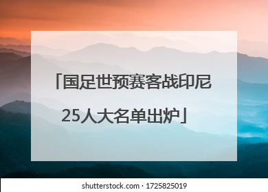 国足世预赛客战印尼25人大名单出炉