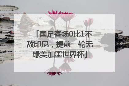 国足客场0比1不敌印尼，提前一轮无缘美加墨世界杯