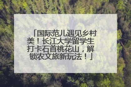 国际范儿遇见乡村美！长江大学留学生打卡石首桃花山，解锁农文旅新玩法！