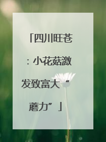 四川旺苍：小花菇激发致富大“蘑力”