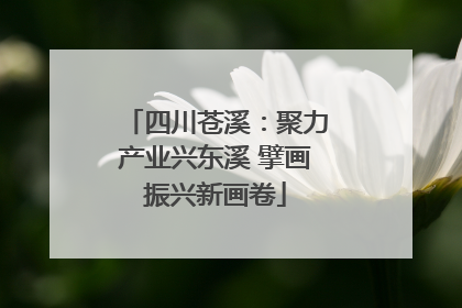 四川苍溪：聚力产业兴东溪 擘画振兴新画卷