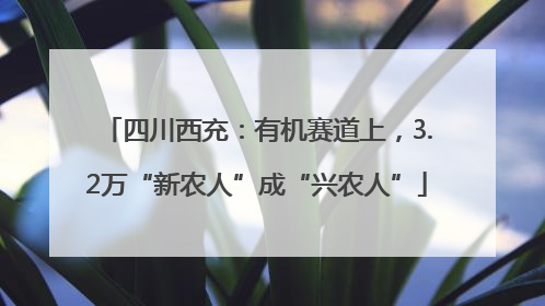 四川西充：有机赛道上，3.2万“新农人”成“兴农人”