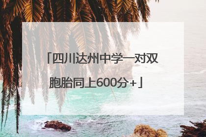 四川达州中学一对双胞胎同上600分+