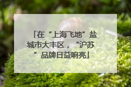 在“上海飞地”盐城市大丰区，“沪苏”品牌日益响亮
