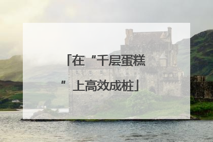 在“千层蛋糕”上高效成桩