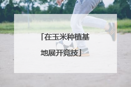 在玉米种植基地展开竞技
