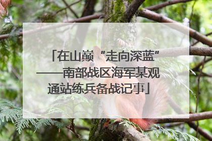在山巅“走向深蓝”——南部战区海军某观通站练兵备战记事
