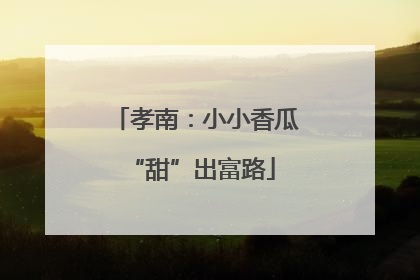 孝南：小小香瓜 “甜”出富路