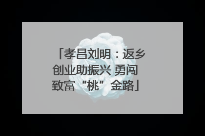 孝昌刘明：返乡创业助振兴 勇闯致富“桃”金路