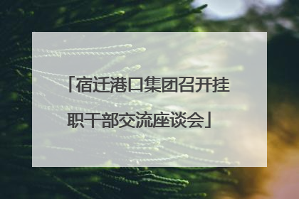 宿迁港口集团召开挂职干部交流座谈会