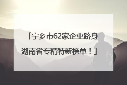 宁乡市62家企业跻身湖南省专精特新榜单！