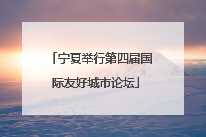 宁夏举行第四届国际友好城市论坛