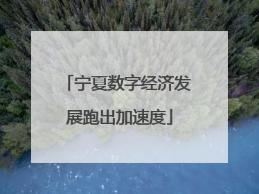 宁夏数字经济发展跑出加速度