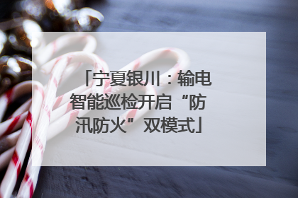 宁夏银川：输电智能巡检开启“防汛防火”双模式
