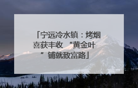 宁远冷水镇：烤烟喜获丰收 “黄金叶”铺就致富路